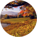 April Mills profile picture